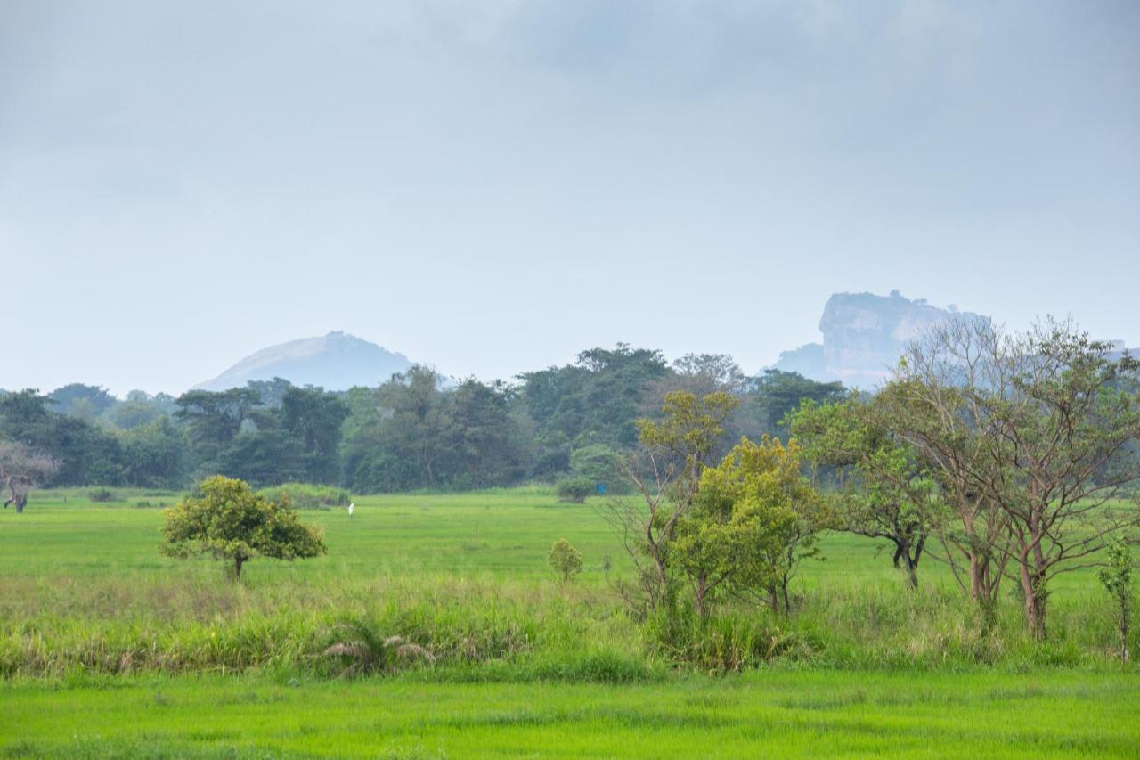 Vila The Hideout Sigiriya Exteriér fotografie